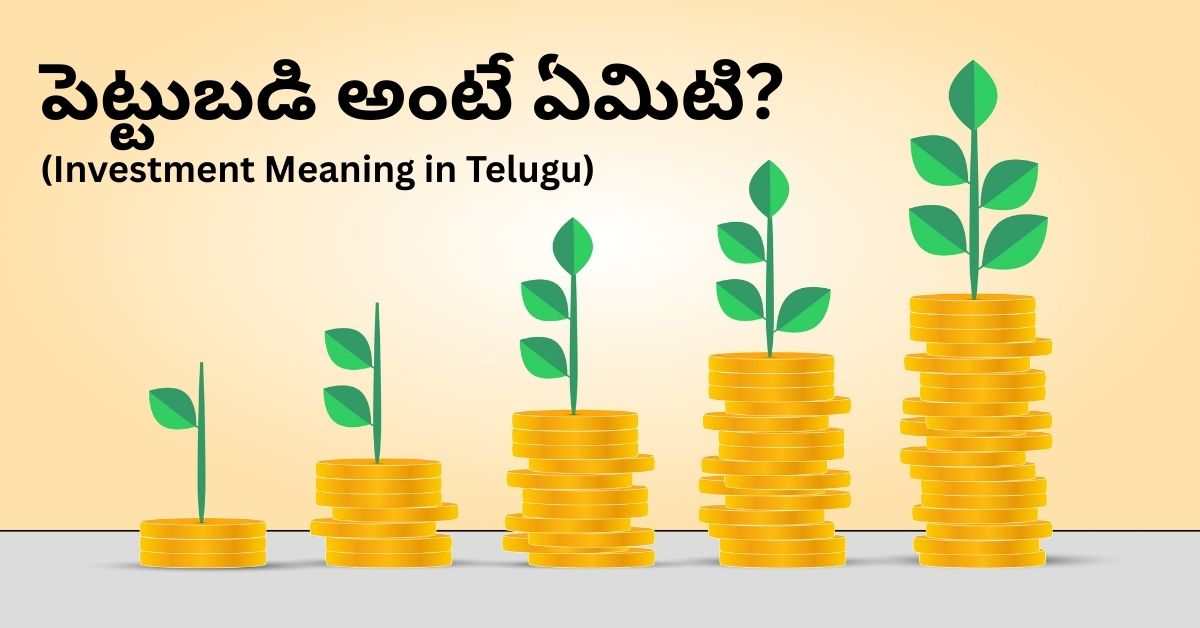 పెట్టుబడి అంటే ఏమిటి? Investment Meaning in Telugu